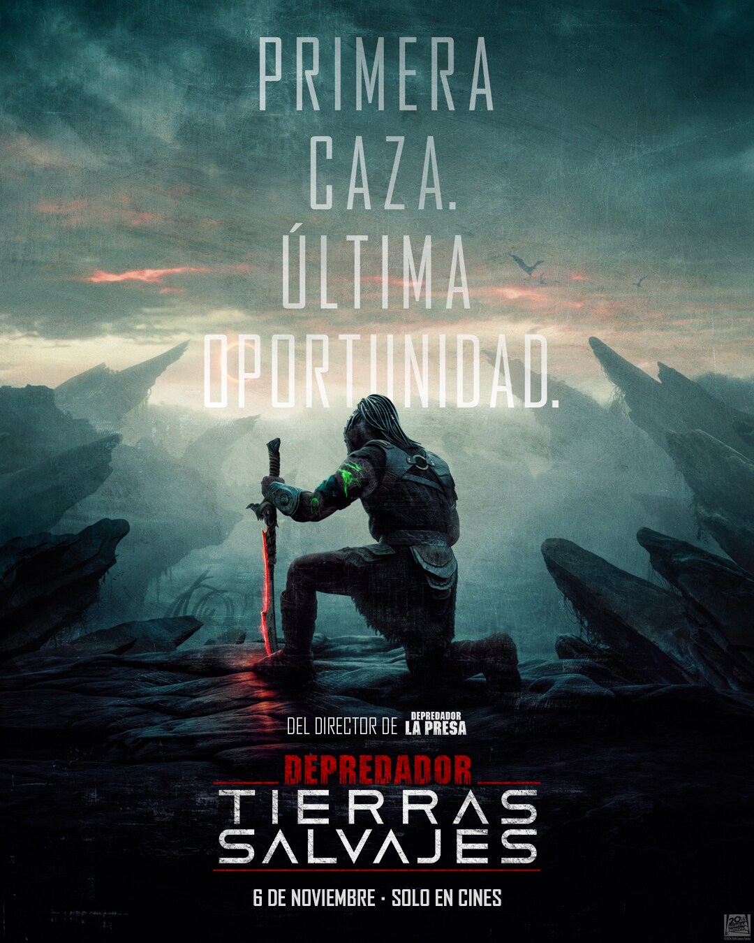 Póster Película 1